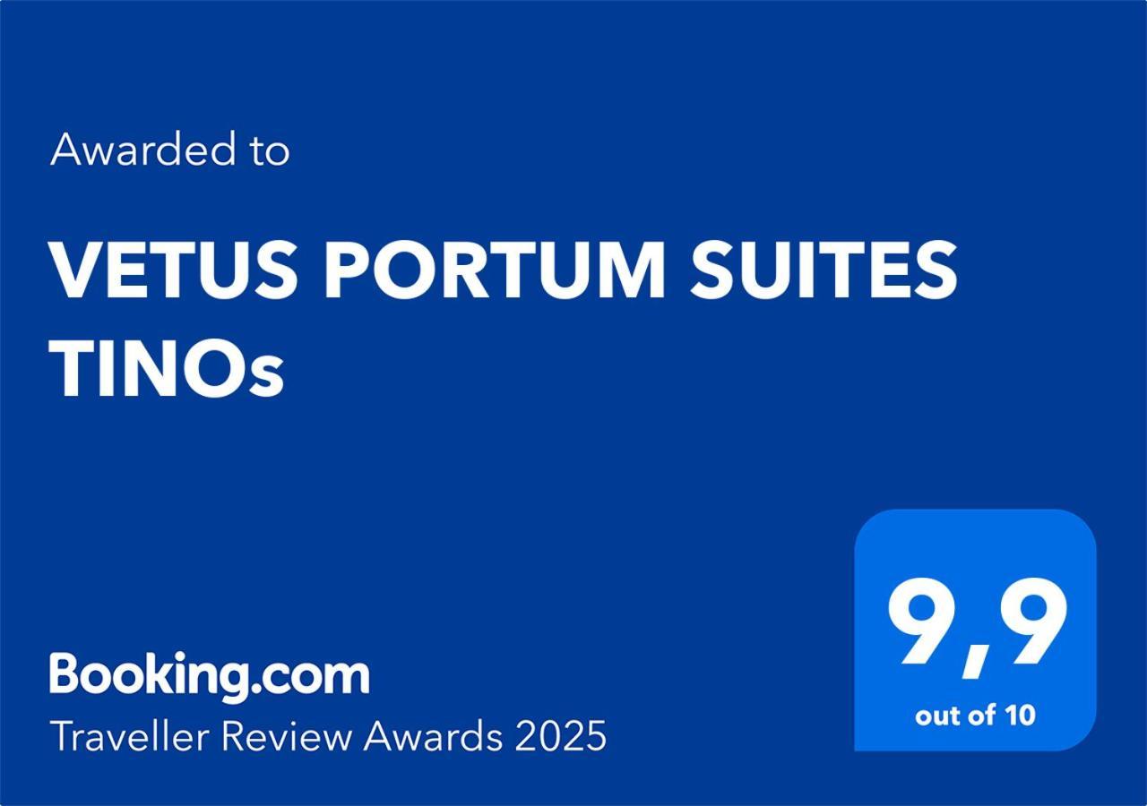 Vetus Portum Apartment Tinos